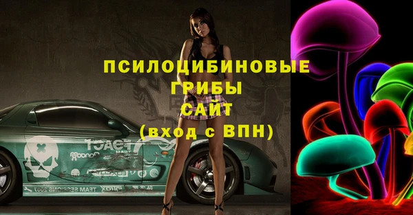 гашик Абаза