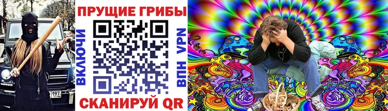как найти наркотики Подольск Псилоцибиновые грибы мухоморы