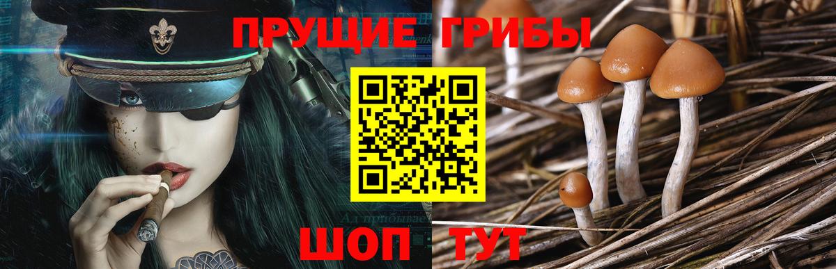 Галлюциногенные грибы ЛСД  Вход с VPN  Подольск 
